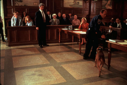 Courtroom Scene